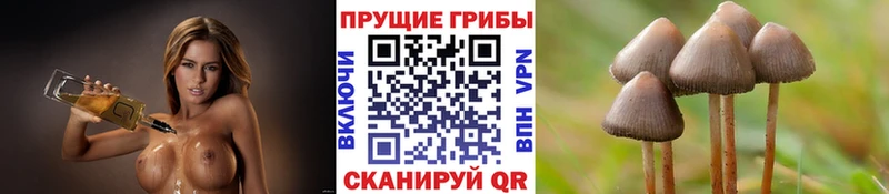 как найти Домодедово Галлюциногенные грибы ЛСД